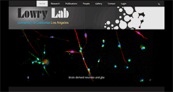 Desktop Screenshot of lowrylab.com