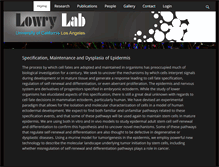 Tablet Screenshot of lowrylab.com